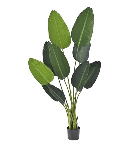Διακοσμητικό Φυτό με Πράσινα Φύλλα σε Πλαστική Βάση 150 εκ.