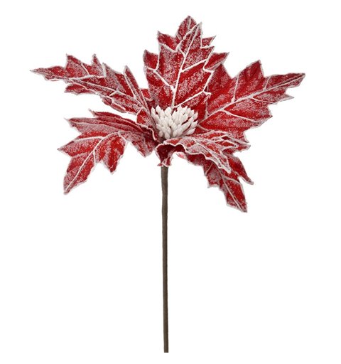 Λουλούδι Βάζου Αλεξανδρινό Κόκκινο Χιονέ Φ25x60 εκ. 