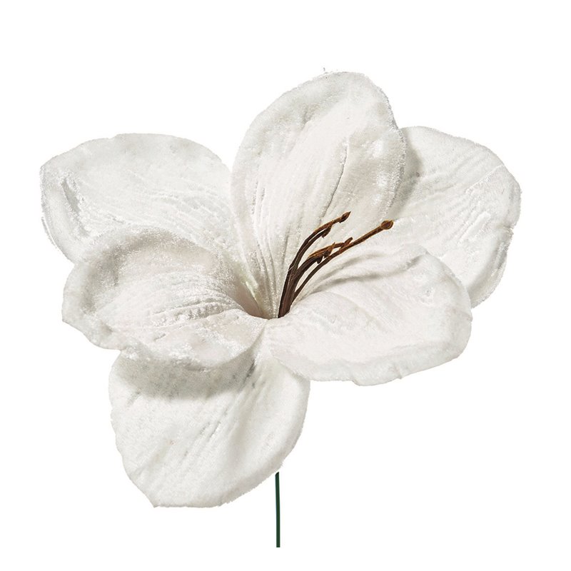 Λουλούδι Αμαρυλλίς Λευκό 23 εκ.