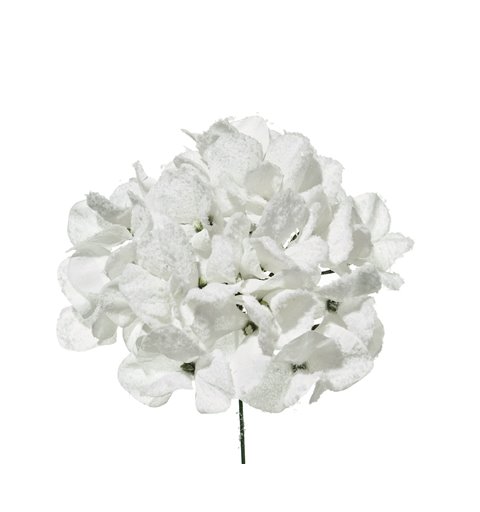 Λουλούδι Ορτανσία Λευκό 21 εκ.