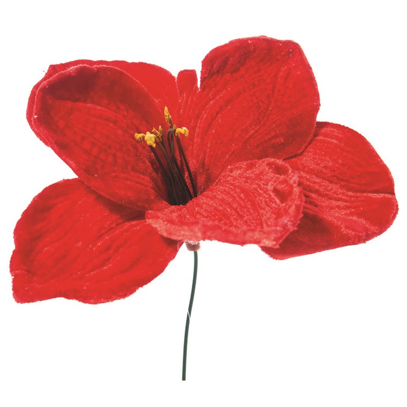 Λουλούδι Αμαρυλλίς Κόκκινο 23 εκ. 