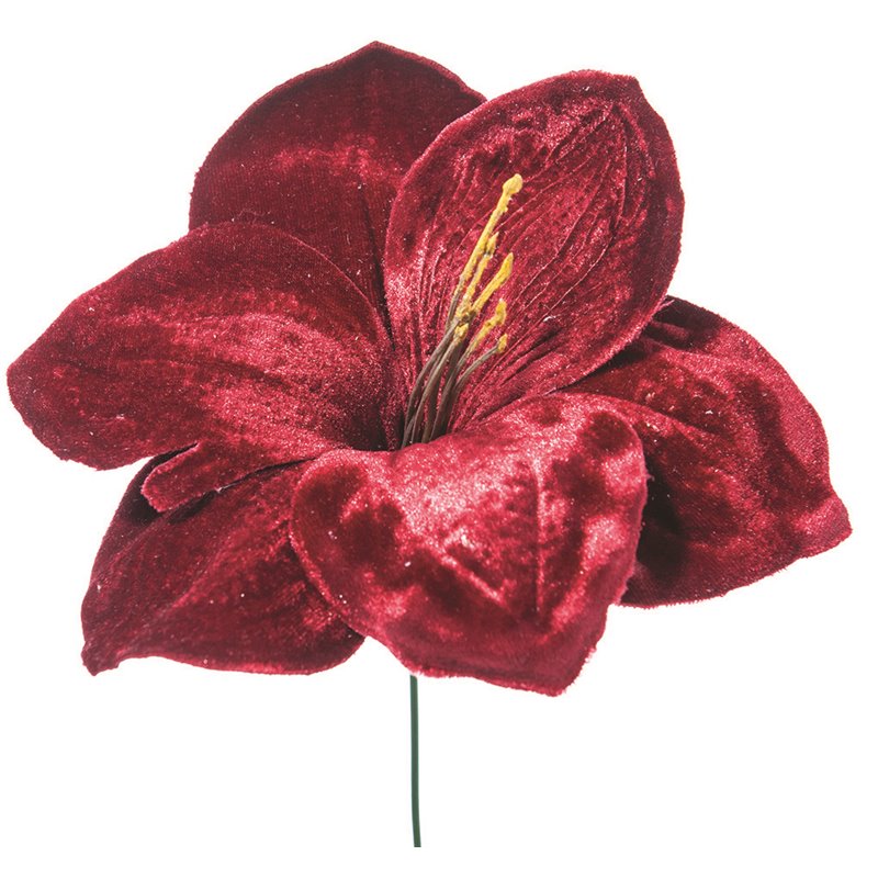 Λουλούδι Αμαρυλλίς Μπορντό 23 εκ. 