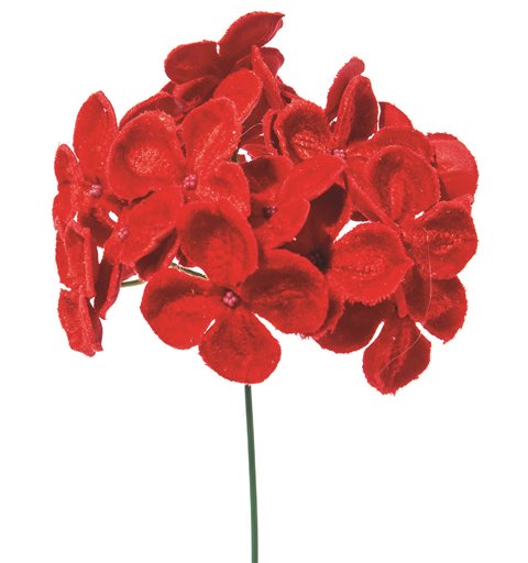 Λουλούδι Ορτανσία Κόκκινο 19 εκ.