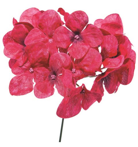 Λουλούδι Ορτανσία Μπορντό 19 εκ.