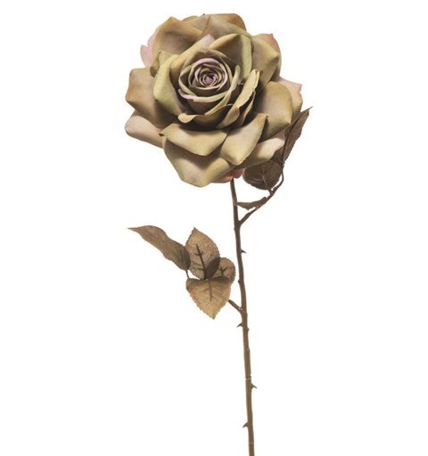 Λουλούδι Βάζου Τριαντάφυλλο Λαδί 66 εκ.