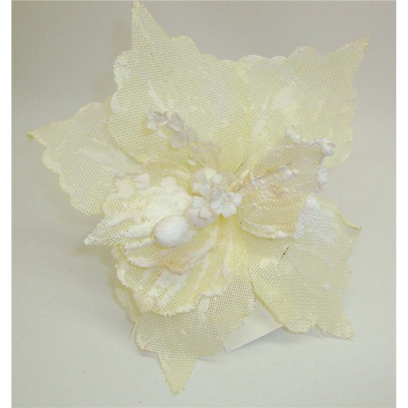 Λουλούδι Αλεξανδρινό Λευκό Χιονισμένο