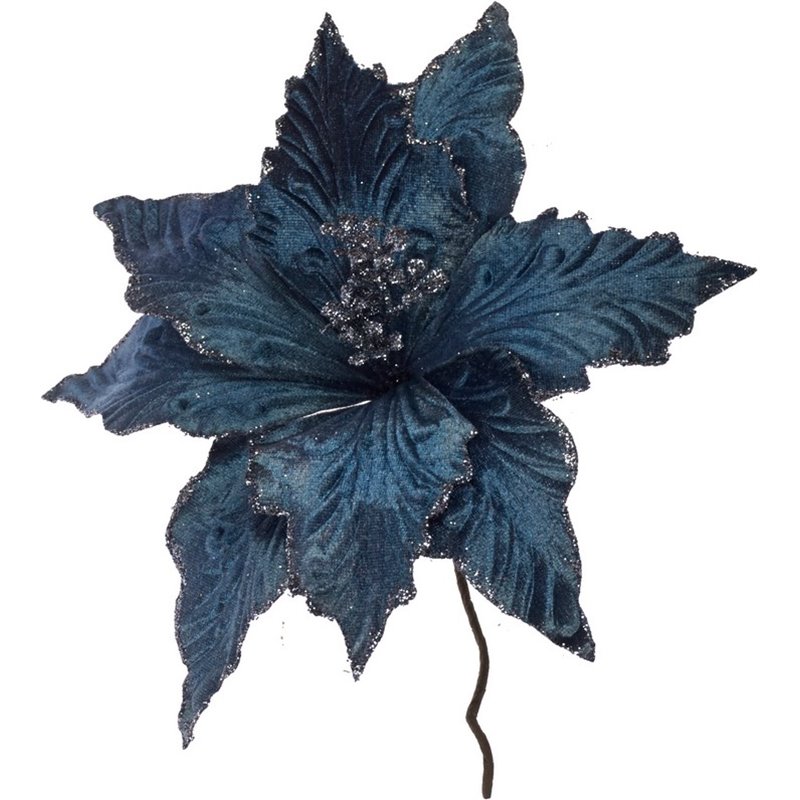 Λουλούδι Αλεξανδρινό Μπλε Ραφ