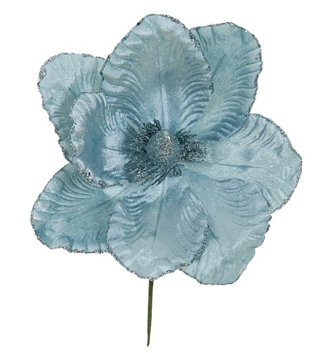 Λουλούδι Μανώλια Γαλάζιο