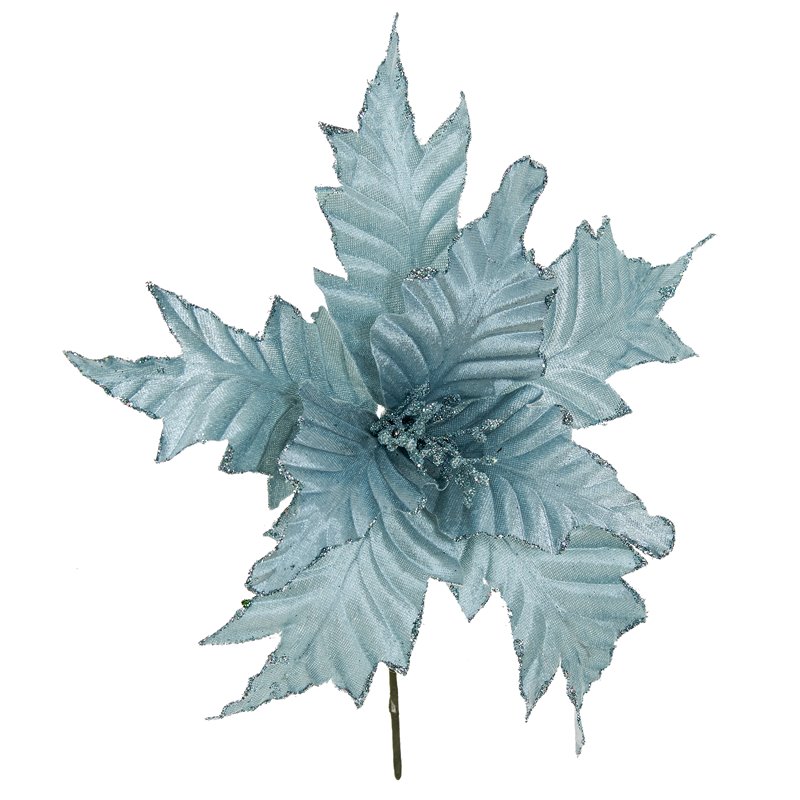 Λουλούδι Αλεξανδρινό Γαλάζιο