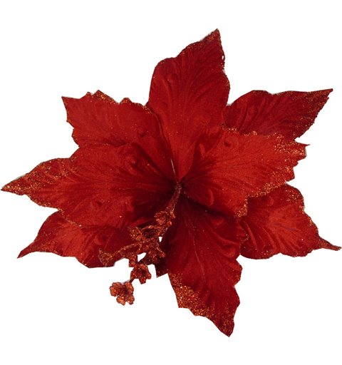 Λουλούδι Αλεξανδρινο Κόκκινο