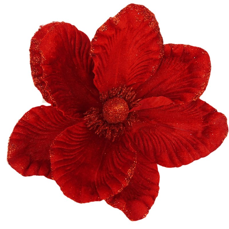Λουλούδι Μανώλια Κόκκινη