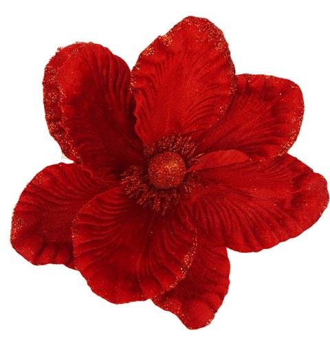 Λουλούδι Μανώλια Κόκκινη