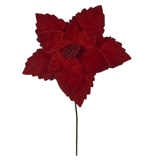 Λουλούδι Αλεξανδρινό Βάζου Κόκκινο
