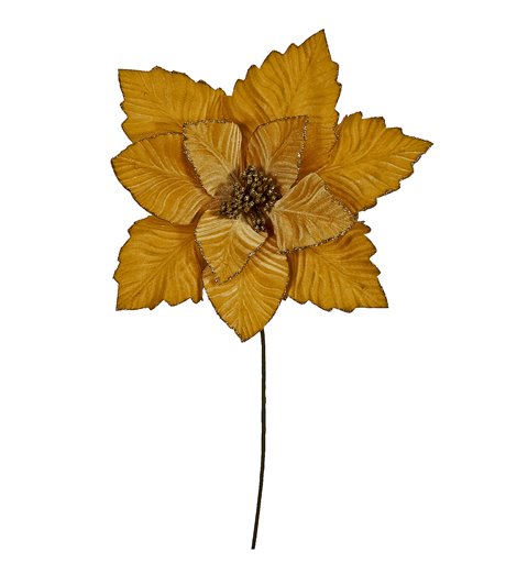 Λουλούδι Αλεξανδρινό Βάζου Χρυσό