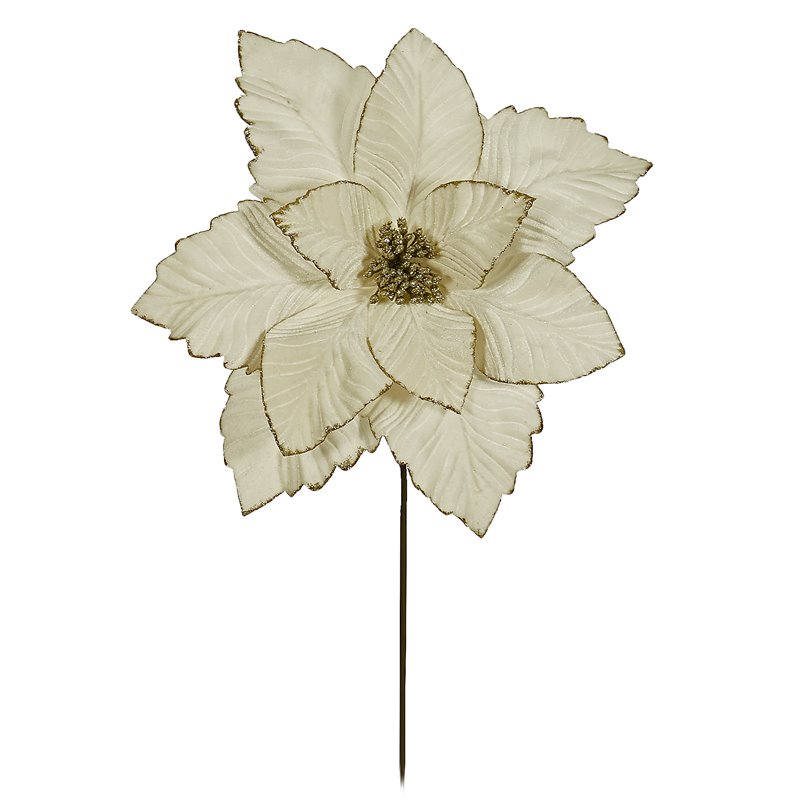 Λουλούδι Αλεξανδρινό Βάζου Ivory