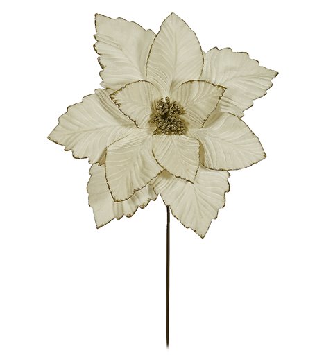 Λουλούδι Αλεξανδρινό Βάζου Ivory
