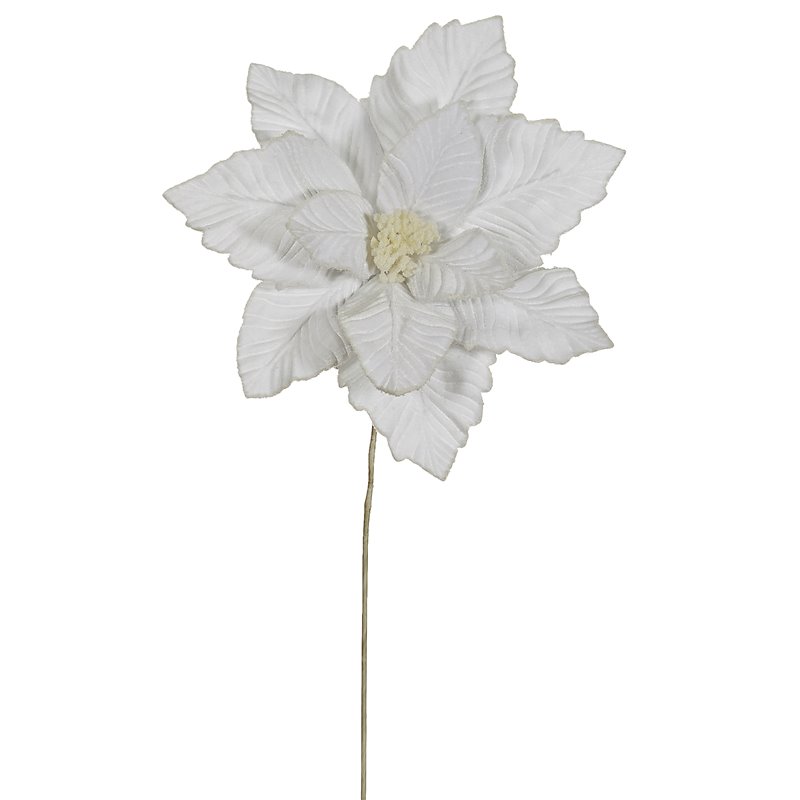 Λουλούδι Αλεξανδρινό Βάζου Λευκό