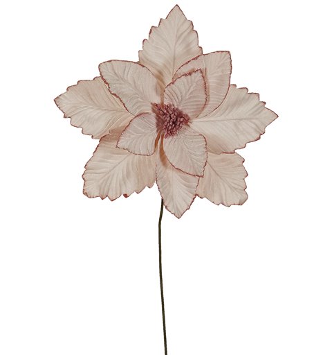 Λουλούδι Αλεξανδρινό Βάζου Ροζ 