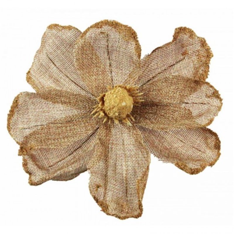 Λουλούδι Μανώλια Εκρού Λινάτσα