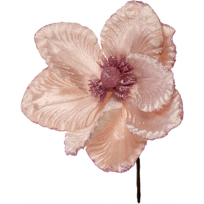 Λουλούδι Μανώλια Ροζ