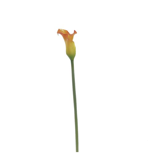 Διακοσμητικό Λουλούδι Κρίνος Κίτρινο 70 εκ.