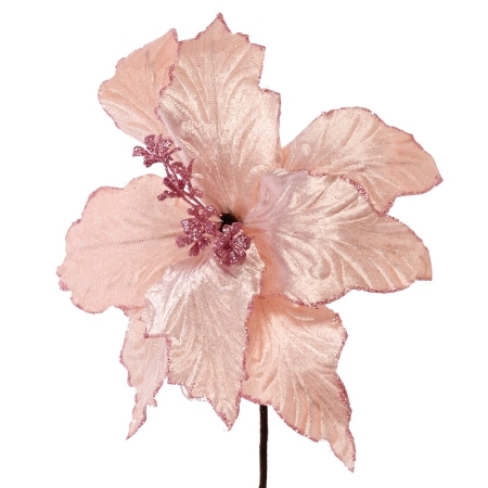 Ροζ-Μωβ-Φούξια Λουλούδια